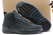 Jordan 12-013